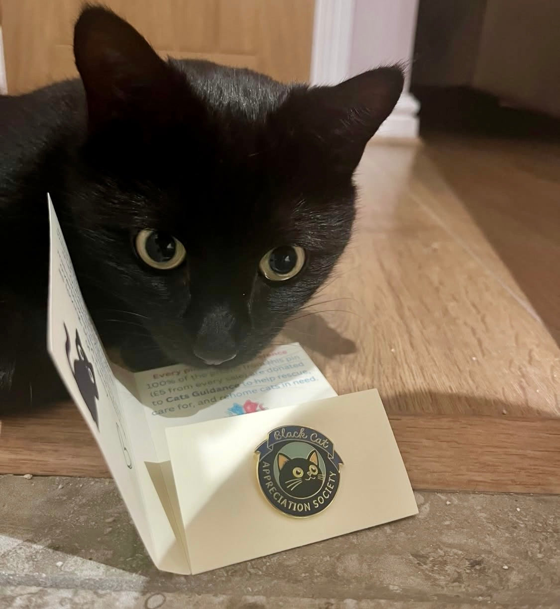 Black Cat Appreciation Society - Hard Enamel Pin